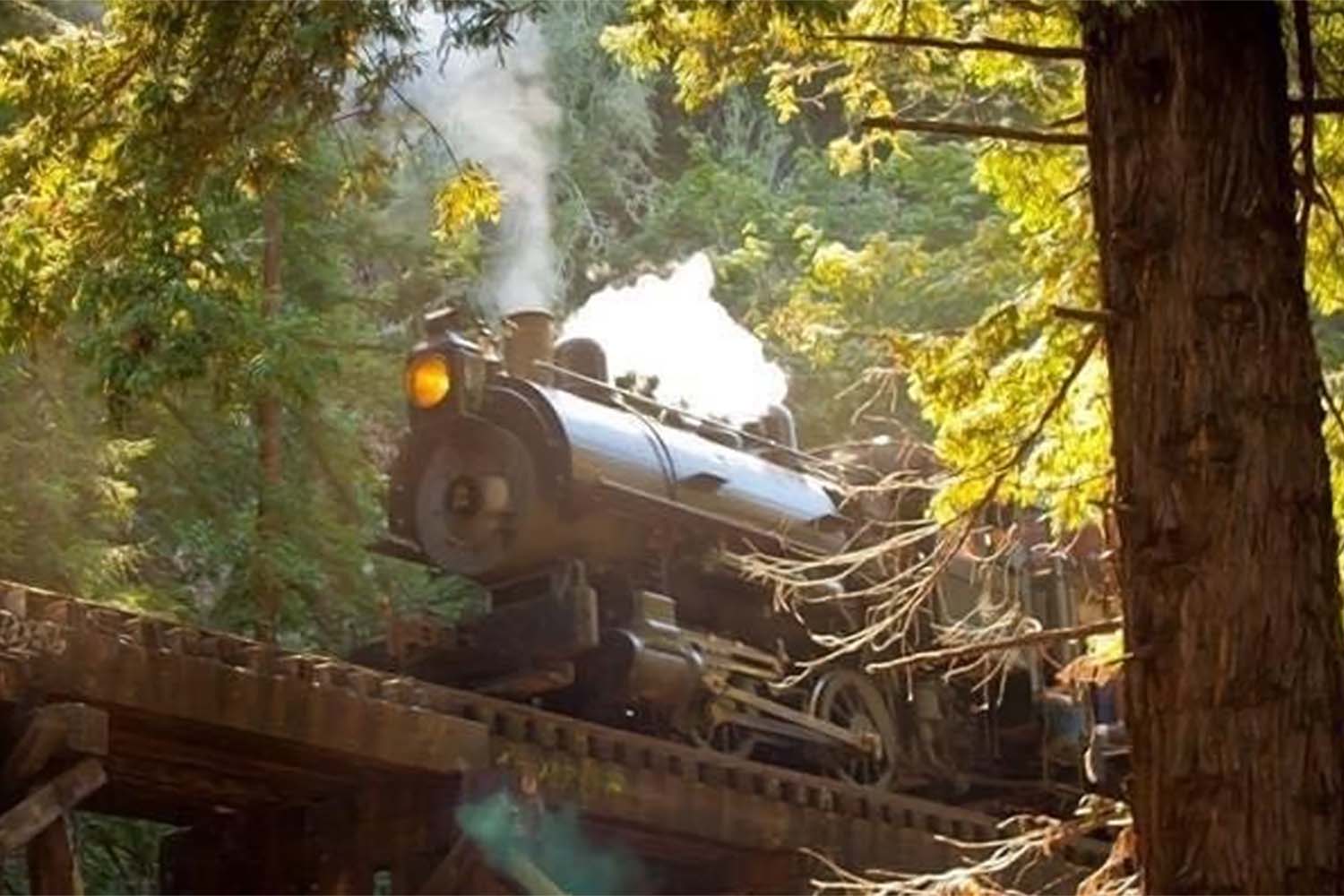 Home - World-Famous Skunk Train