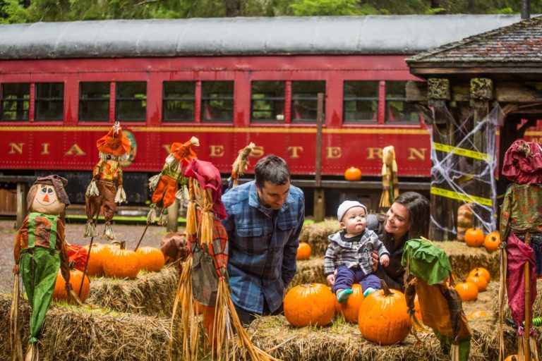 Pumpkin Express